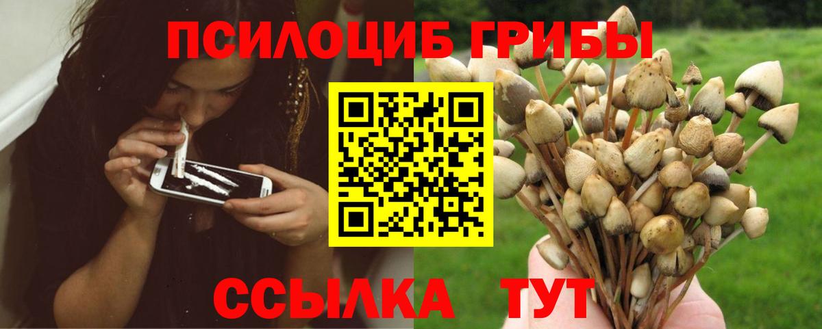 Галлюциногенные грибы Psilocybine cubensis Мегион