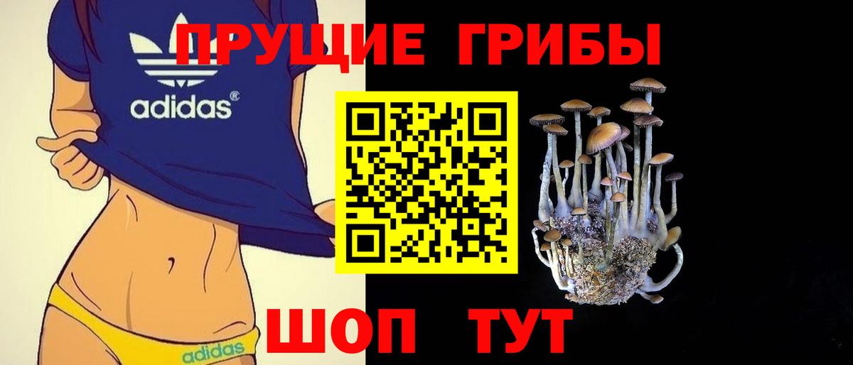 Мегион  Псилоцибиновые грибы Psilocybe  где можно купить наркотик  Вход с VPN 